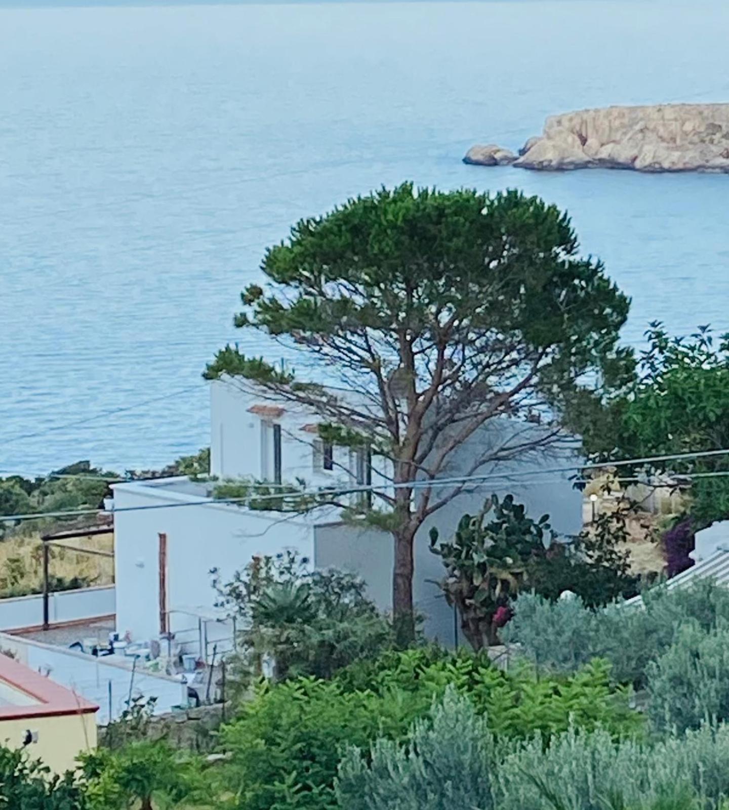Villa Costanza ซานวิโต โลคาโป ภายนอก รูปภาพ